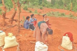 दसैंमा घर रंग्याउने चटारो