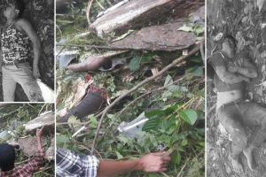 सिरिसे कन्टेनर दुर्घटनाका मृतक र गम्भिर घाइतेको पहिचान खुल्यो