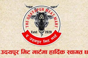 द उदयपुर मिट मार्टको दशै अफर