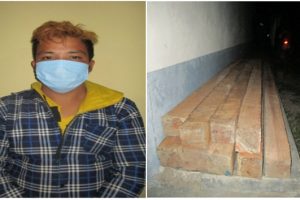 उदयपुरमा अवैध चिरान काठसहित एक जना पक्राउ