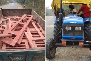 उदयपुरमा अवैध काठ सहित दुई जना पक्राउ