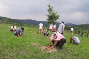 वातावरण दिवसमा वृक्षारोपण