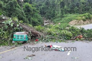 उदयपुरमा रुखले किचेर एक महिलाको मृत्यु, पाँच जना घाइते