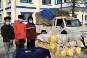 उदयपुरमा ४ सय केजी गाँजा सहित तीन जना पक्राउ