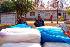 गाँजा तस्करीको रुट बन्दै सप्तकोशी नदी, एक महिना भित्रै ८ सय केजी गाँजा बरामद