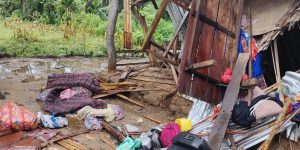 उदयपुरमा हात्तीले ४ घर भत्काउँदा १६ लाख बढीको क्षति