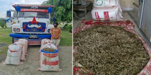 उदयपुरमा १ सय ९९ केजी गाँजा सहित एक जना पक्राउ