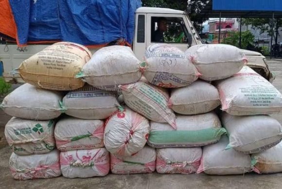 उदयपुरमा ११२२ किलो गाँजासहित ३ जना पक्राउ