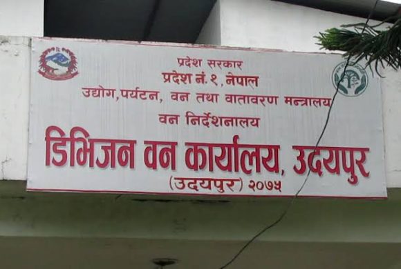 डिभिजन वन कार्यालय उदयपुरका वन अधिकृत पौडेललाई अख्तियारद्वारा घुस सहित रंगेहात पक्राउ